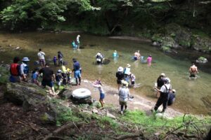 さあ、捕まえよう！